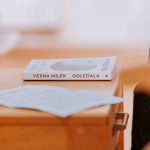 Vesna Milek MAX-17