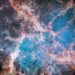 slavinec_003