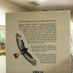zapisi_IMG_2451