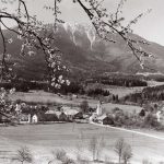 fototeka_DSC_0008