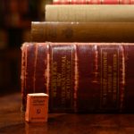 min_DSC_1212