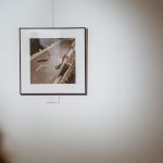 KOK, voranc vogel, pocestnice, 07112024-foto-nika_hölcl (17)